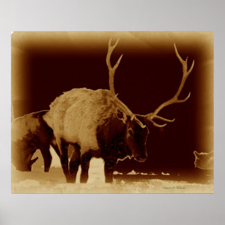 Pôster bad 2 the bone