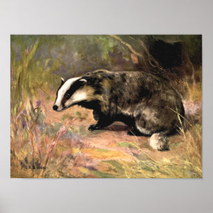 Poster Badger by CE Swan, Vintage Forest Animal