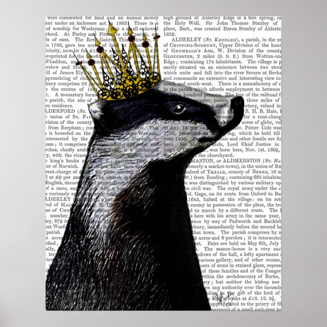 Pôster Badger King (Frente)