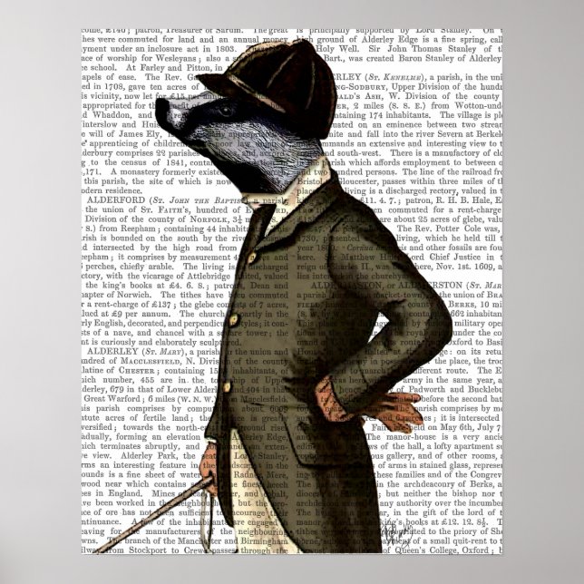 Poster Badger O Retrato Do Cavaleiro (Frente)