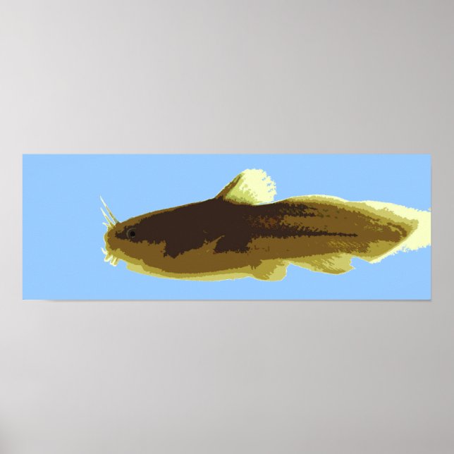 Pôster Bagre Tadpole Madtom (Frente)