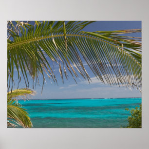 Pôster BAHAMAS, Abacos, Cays Loyalistas, Man O'War Cay: