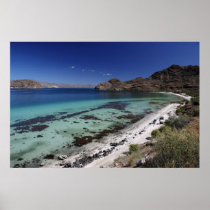 Pôster Baía da concepção de Baja