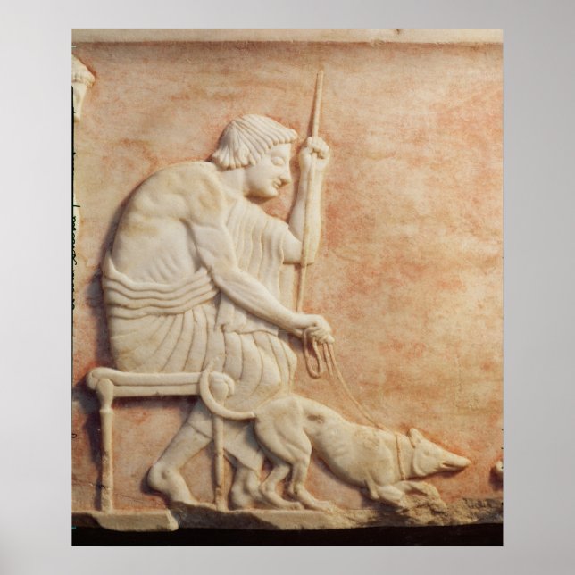 Poster Baía de animais (Frente)