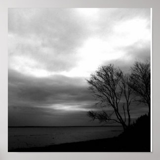 Pôster Baía De Fundy