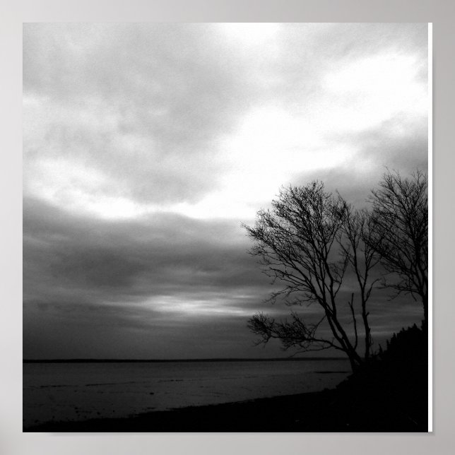 Pôster Baía De Fundy (Frente)