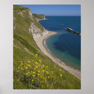 Pôster Baía de Man o War, Costa Jurássica, Lulworth, Dors