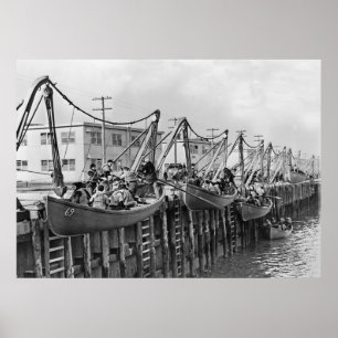 Pôster Baía de Sheepshead