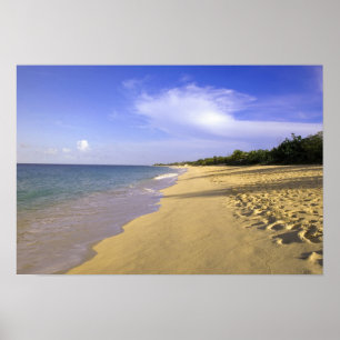 Poster Baía Longa praia de Long Bay, St. Martin,
