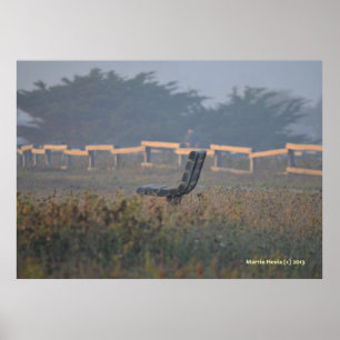 Poster Baixar com uma Vista