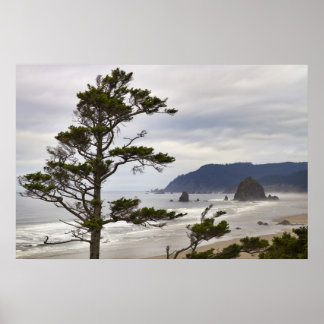Pôster Baixo curso de Cannon Beach no Oceano Pacífico Ore