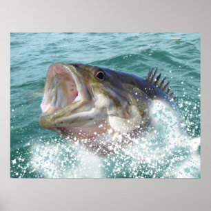 Pôster Baixo de Smallmouth