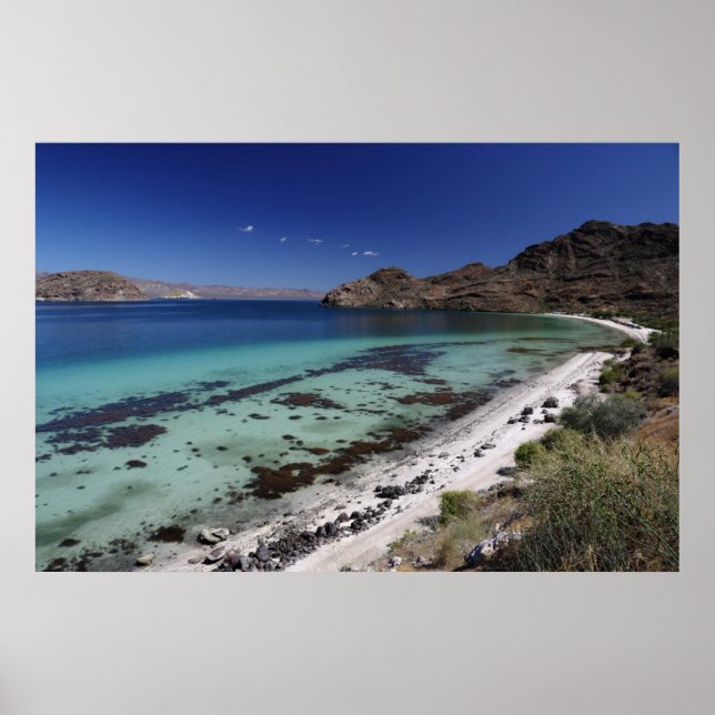 Pôster Baja Conception Bay (Frente)