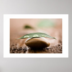 Pôster Balance poster/canvas