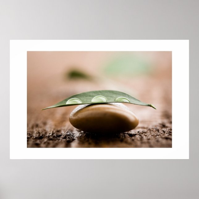 Pôster Balance poster/canvas (Frente)