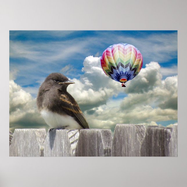 Poster - Balão de pássaro e ar quente (Frente)
