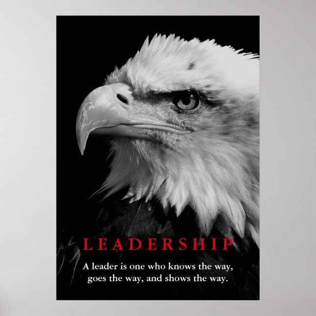 Poster Bald American Eagle Leadership (Frente)