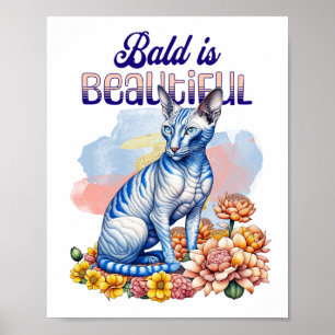 Poster Bald é Bonito   Gato sem pelo