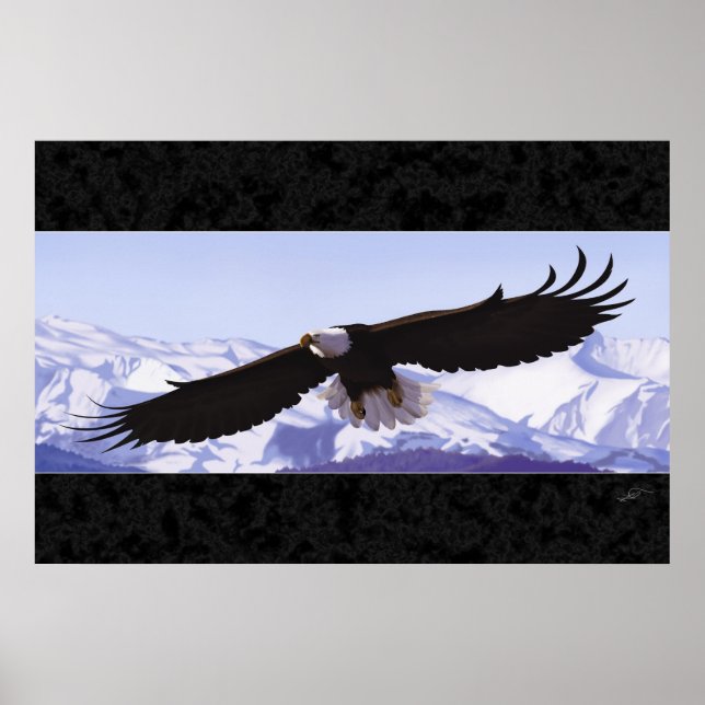 Poster Bald Eagle (Frente)