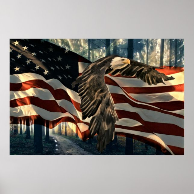Poster Bald Eagle American Flag Country Road (Frente)