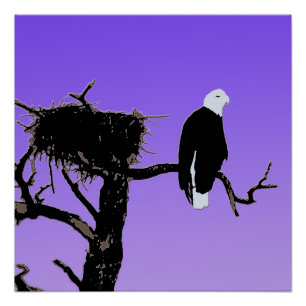 Pôster Bald Eagle em Sunset - Arte original sobre a vida