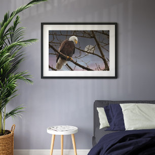 Poster Bald Eagle Full Moon Maiestosa Eagles