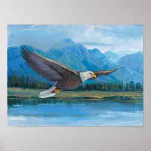Poster Bald Eagle Soaring