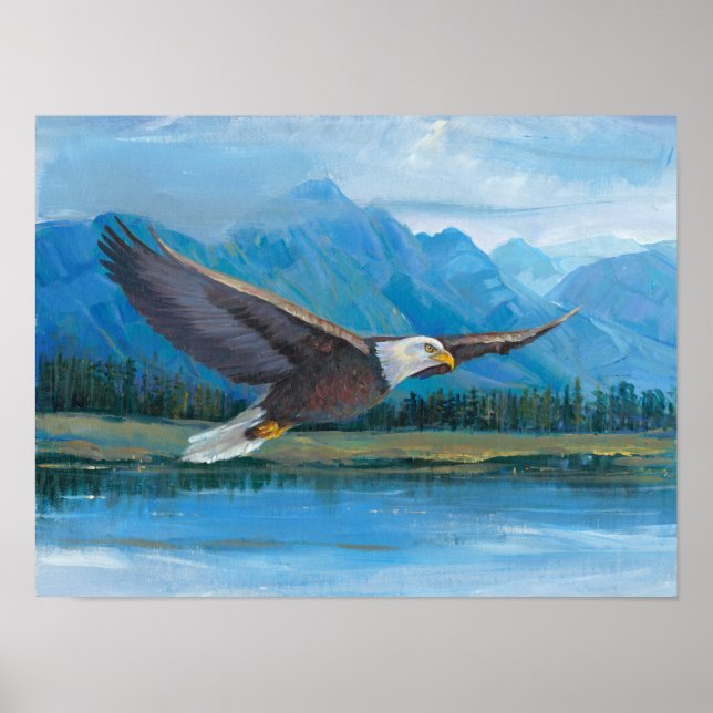 Poster Bald Eagle Soaring (Frente)