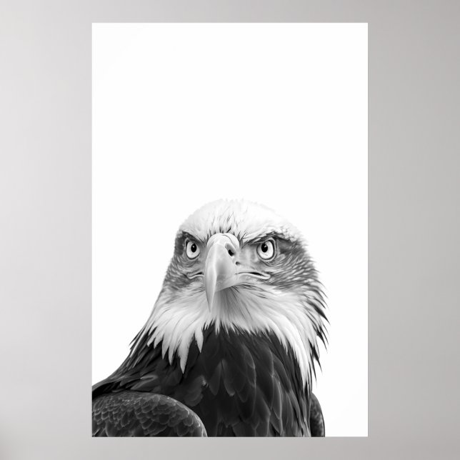 Poster Bald Eagle Woodland Modern Retrato preto (Frente)