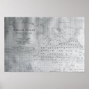 Pôster Baleia do Pacífico Norte, 1851