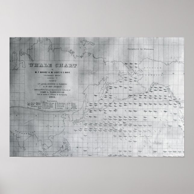 Pôster Baleia do Pacífico Norte, 1851 (Frente)