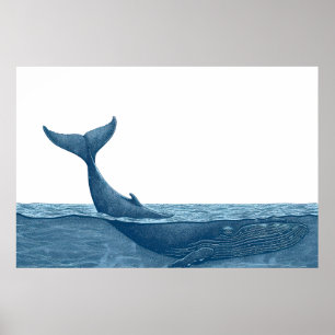 Poster Baleia no oceano