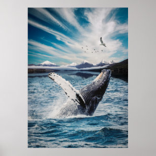 Poster Baleia Oceânica