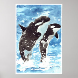 Poster Baleias de assassino da Aquarela