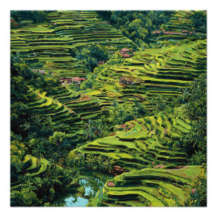 Pôster Bali Indonésia Vibrantes Terraços de Arroz Verdes 
