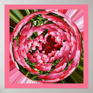 Pôster Ball of tulipas floral art