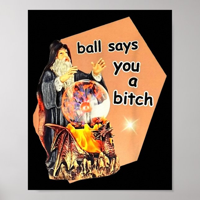 Poster Ball Says You A Btch Meme  (Frente)