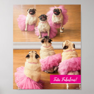 Poster Ballerina Pugs Em Tutus
