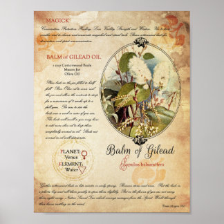 Pôster BALM of GILEAD