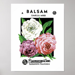 Pôster Balsam Seed Packet Label