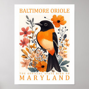 Poster Baltimore Oriole Bird de Maryland EUA Viagem