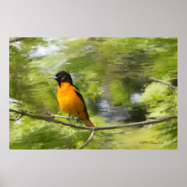 Poster Baltimore Orioles DayDream (Frente)