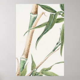 Poster Bamboo Leaf Vintage Art