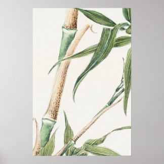 Poster Bamboo Leaf Vintage Art