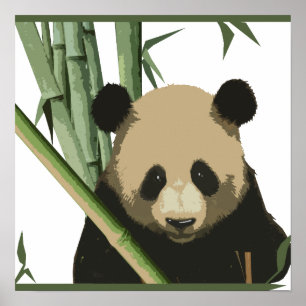 Poster Bamboo Panda