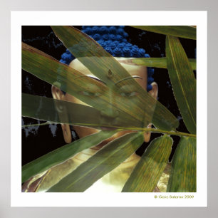 Poster Bambu de Buddha