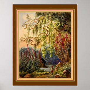 Poster "Bambu de suspensão de Sri Lanka" por Haeckel CA