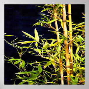 Poster Bambu Foliage Arte Tropical Em Preto