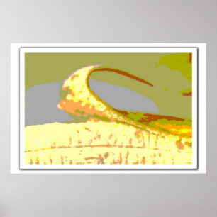 Pôster Banana Art