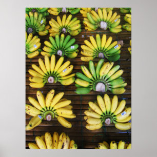 Poster Banana do ovo do ~ da senhora Dedo Banana